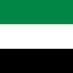 Dubai flag